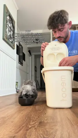A post by @lilmfcurb on TikTok caption: Bella loves this thing