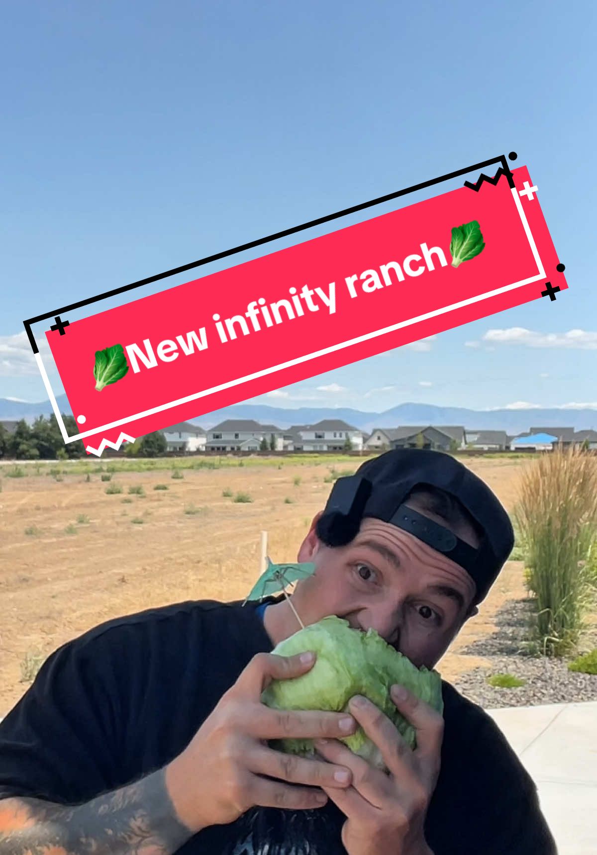 A post by @datrashmaaan on TikTok caption: New infinity ranch!!🥬🥬#trashsalad #bluecollar #boydinner 