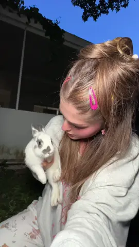 A post by @moncluscarol on TikTok caption: Oficialmente le monté la casa a Bunny 🎀🐰 así que me convertí en su mamá cierto? @Carlos Alberto Fuentes 