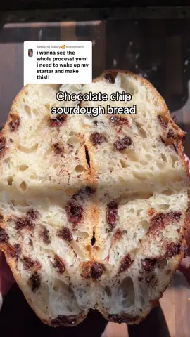 A post by @wheatculture on TikTok caption: Replying to @Bailey🥰 recipe and full walk through with instructions coming tomorrow! This chocolate chip sourdough bread has a few extra steps but is so worth it #sourdoughtiktok #sourdough #sourdoughstarter #sourdoughtok #sourdoughasmr #sourdoughcrunch #sourdoughbread #sourdoughclub #chocolatechipsourdough 