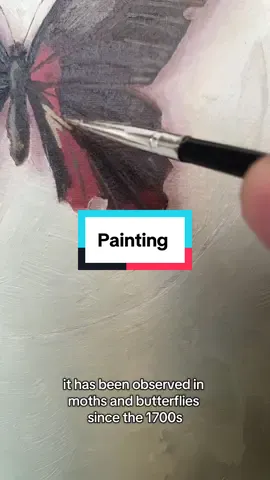 A post by @soundoftheforest on TikTok caption: I am working on making prints that should be available within the next few weeks! ##autisticadult##autism##autistic