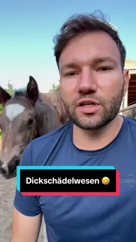 A post by @patrick.thomalla on TikTok caption: 🤣 Die sind voll gut erzogen 🤣 Ich ziehe solche Emanzen doch an 🤣🙊🤷🏻‍♂️… #horseman #comedy #newlife #letmetakeyouonaride #show #singersongwriter #foal #fohlen #fy #fyp #trending #viral 