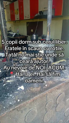 A post by @luptam_pentru_romania on TikTok caption: O casă căzută. O familie în genunchi. Cine se ridică pentru ei? Într-un colț de țară, o casă s-a prăbușit. În ea trăia o familie cu 5 copii – cel mai mic are 6 luni, iar cel mai mare 15 ani. Trăiau simplu, dar împreună. Într-o cameră mică, dar caldă. Astăzi… dorm sub cerul liber. De două nopți. Tatăl, singurul care aducea un venit, e terminat psihic. Nu mai știe ce să facă. Fratele lui, un tânăr în scaun cu rotile, stă lângă ei, fără să poată fugi, fără adăpost, fără speranță. Autoritățile? Nimic. Promisiuni. Atât. Dar noi? NOI putem fi diferența. Cu o saltea, cu o pătură, cu o mână întinsă. Sau măcar cu o prezență. Cineva care să meargă ACUM acolo, să-i vadă, să le arate că nu sunt singuri. Nu putem salva toată lumea, dar putem salva o lume întreagă pentru ei. Hai să fim unul în gheatul lor. Hai să nu ne întoarcem privirea. Dă mai departe. Sau, mai bine: du-te tu. 📍Scrie-ne dacă vrei să ajuți. Sau ia legătura direct cu cei de pe teren. Faptele contează.#viral#fyp @𝐌𝐚𝐤𝐚𝐯𝐞𝐥𝐢 @Makaveli @Claudiu Vava @A L N @SURUB de la BUCHETINO @BobbyD Cenzurat 