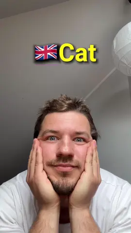 A post by @makashovskiy on TikTok caption: Прикол хочете?😀