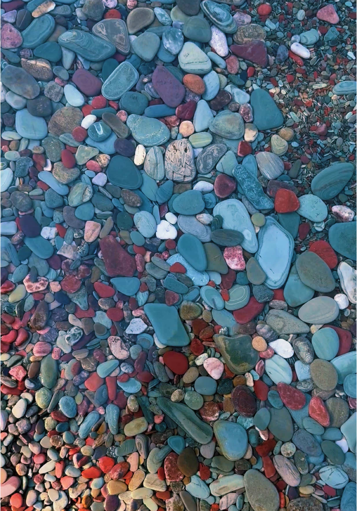 A post by @megaamerican on TikTok caption: penetrating dreams