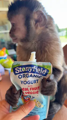 A post by @lifewithgaitlyn on TikTok caption: Morning Frands! Rise and Sparkle! Hope you all have a good day!! #gaitlynrae #morning #yogurt 