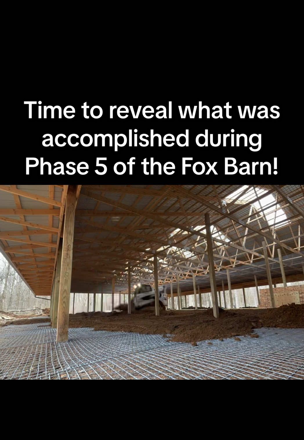 A post by @arcticfoxdaily on TikTok caption: I’ve been piecing this together for weeks - let’s reveal what your support made happen!  Phase 5 construction is COMPLETE and Phase 6 has officially commenced. 👏🏼 #FoxBarn #wildlife #rescue #fox #nonprofit #reveal #animals #thankful #fyp #VocêNasceuParaMudar 