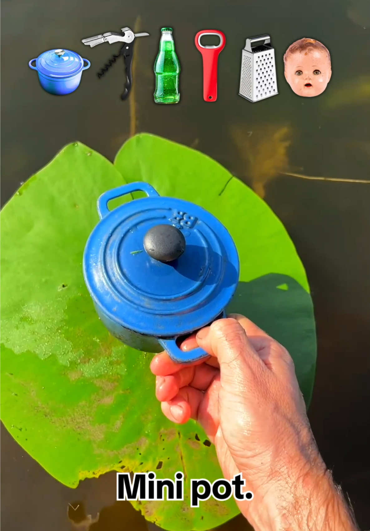 A post by @scottsreality on TikTok caption: What item can float? 😳