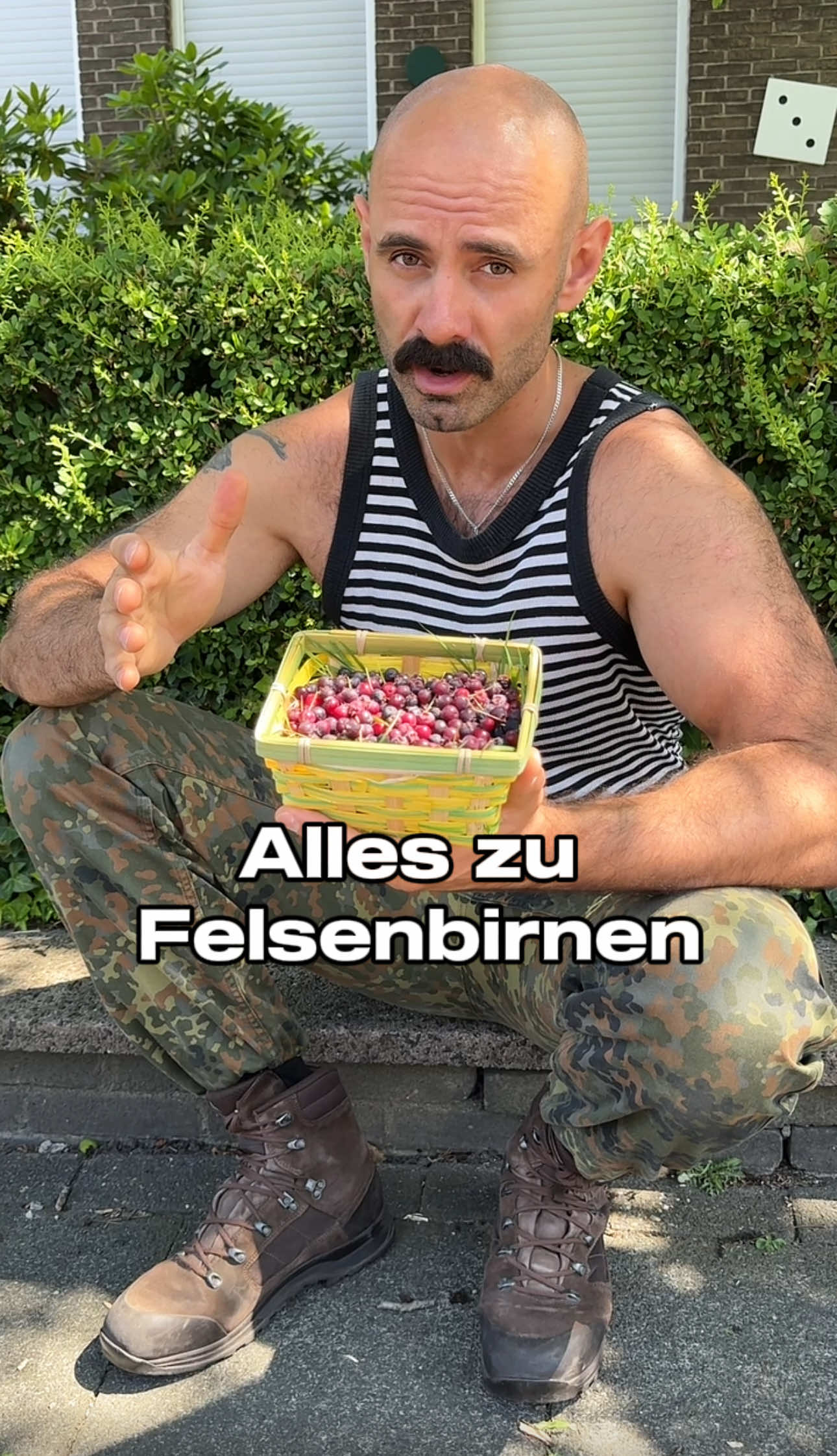 A post by @wostok_style on TikTok caption: Felsenbirnen 🫐 Wostok Style 👌🏼👨🏻