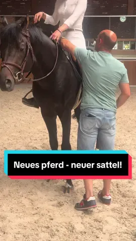 A post by @sophianinette on TikTok caption: NEUES PFERD - NEUER SATTEL 🤍