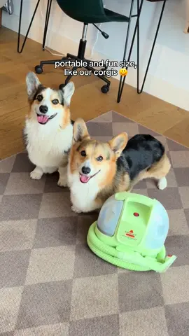 A post by @bradygraffiti_corgis on TikTok caption: #ad Brady is always knocking things over...and sometimes makes a mess! Thankfully we have the Little Green Mini portable carpet cleaner from @BISSELL Clean. It's portable and fun size, like our corgis! And super easy to use - just spray, scrub and suction! Visit the link in our bio to get yours today! #LittleGreenMini #BISSELLPartner
