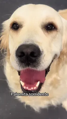 A post by @chiaraferragni on TikTok