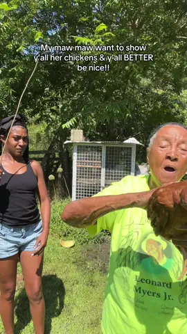A post by @kamtunechi on TikTok caption: She don’t play bout them chickens 😂😂😂😂