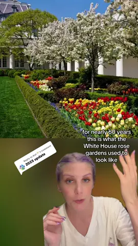 A post by @katnaps5 on TikTok caption: Replying to @Kat🥂 #greenscreenvideo the poor White House Rose Gardens didn’t stand a chance against Melania Trump and MAGA’s war on color. #rosegardens 