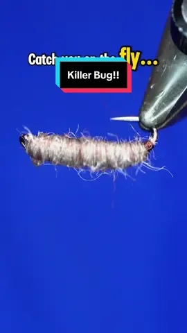 A post by @tiesflies on TikTok caption: I tied this one a while back, but this time I used the original materials, and tied it how Frank himself tied it. I hope I did the pattern some justice! Hook: Ahrex FW561 size 14 Thread: Copper wire  Body: Chadwick's 477   #TheFlySmith  #flytying #magpiematerials #magpieturkeybiots #magpiefinebeaverdubbing #whitingfarms #naturesspiritflytying #lidrig #fly #flytyingjunkie #flytyingtutorial #flytyingaddict #flytok #satisfying #flytyingnation #fyp #harelinedubbin  #fishing #flyfishing #pescamosca #Upavon #fullingmill #bespoke