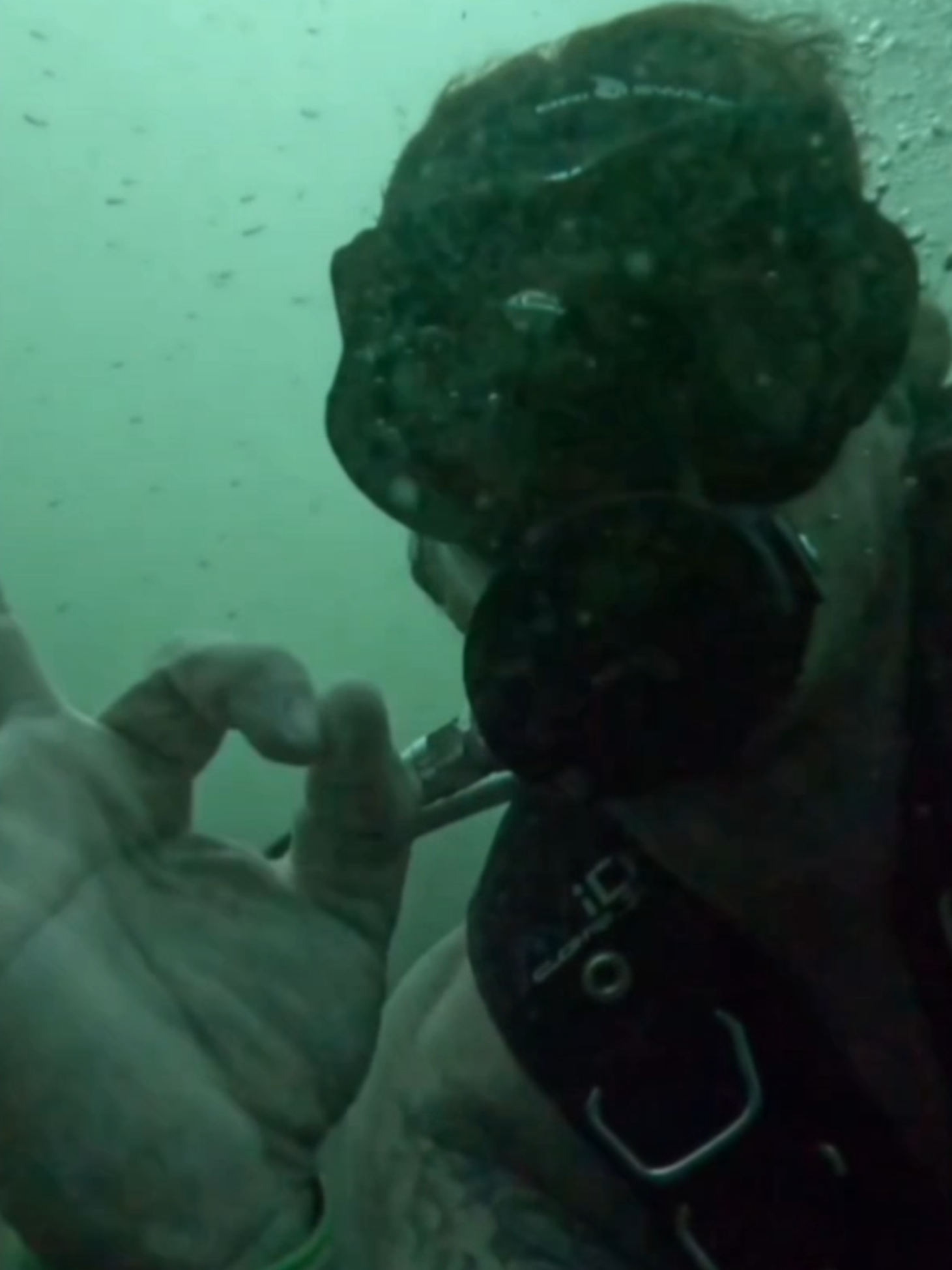 A post by @mattthemechanic43 on TikTok caption: Scuba in the Sea! #tulsa #help #mobile #mechanic #tiktok #love #fyp #surprise #scuba 