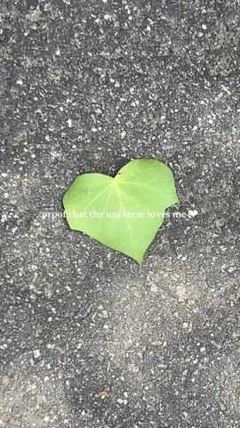 A post by @allicattt on TikTok caption: i ‪‪❤︎‬‪ u too 🪴 #theuniverse #theuniversehasyourback 