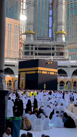 A post by @faisal_official061020 on TikTok