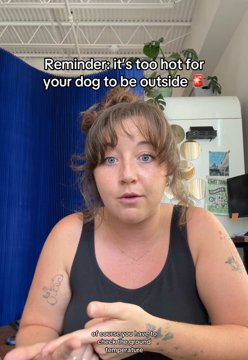 A post by @taylorcezanne on TikTok caption: Take a break from going outside right now. It’s extremely hot and dogs can’t regulate their temperature as easy as we can! #summerheat #dogsoutside #dogsinsummer #walkingdogs #newpuppy 