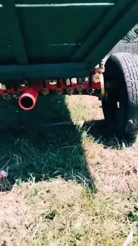A post by @mekoselim666 on TikTok caption: #combină cu @mihai faraonu regele 