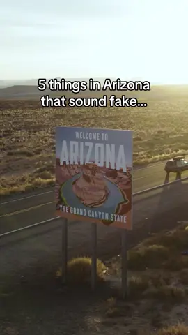 A post by @welcometoarizona on TikTok caption: Here are 5 things that sounds fake in AZ but are actually real 😳🤯⁠ ⁠ 1. Monsoon season happens every year and brings thunderstorms and haboobs⁠ 2. Flagstaff, AZ, is one of the snowiest cities in America⁠ 3. You can face up to 25 years in prison for cutting down a saguaro cactus⁠ 4. The original London Bridge is in Lake Havasu City, AZ⁠ 5. ‘Vortexes’ are actually a real thing and there’s many sites in Sedona, AZ⁠ ⁠ Follow us for more of the best in Arizona! 🌵  #welcometoarizona #instagramaz #arizona #viral #2025 #monsoonseason #sedona #flagstaff #fyp 