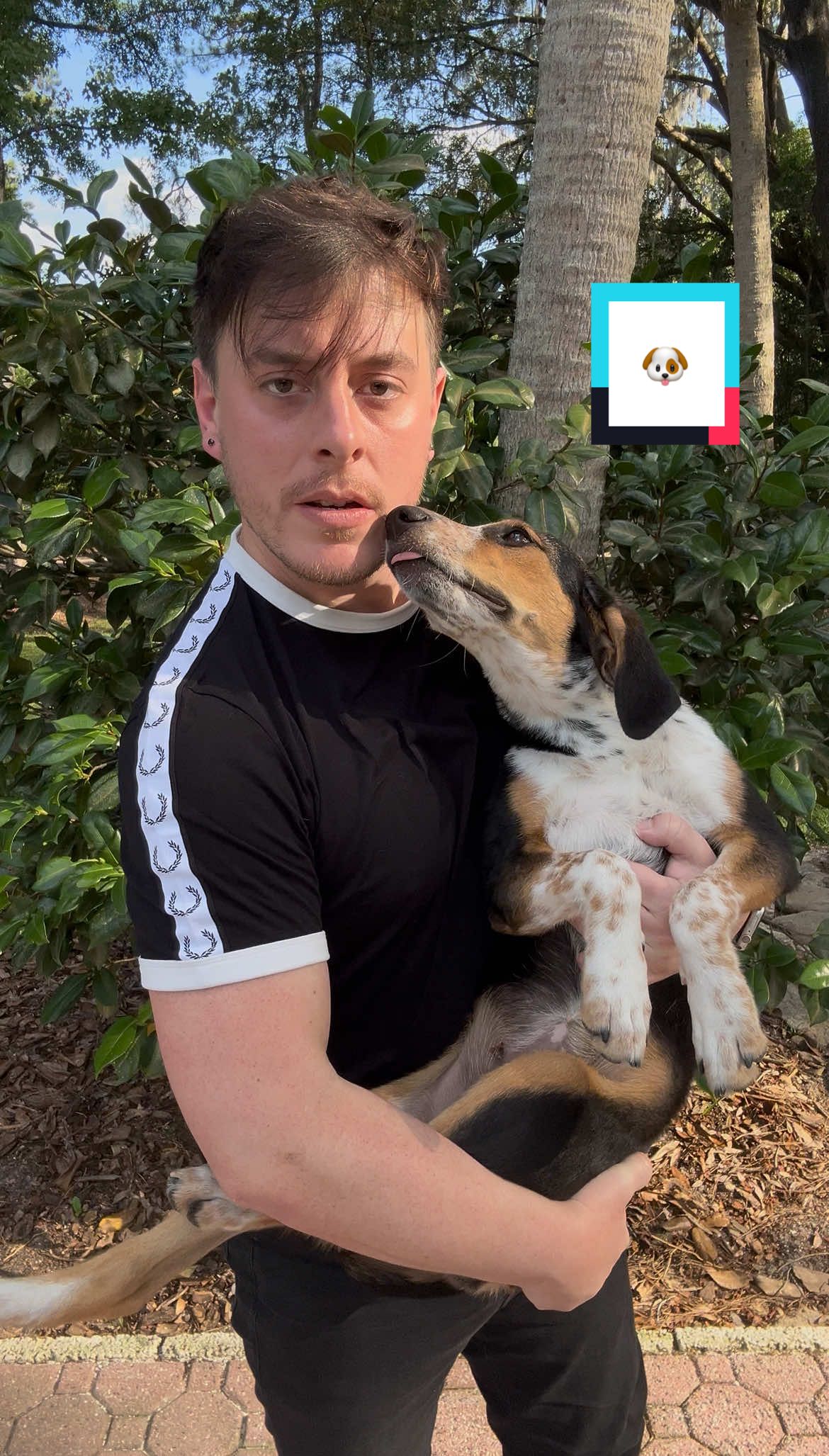 A post by @thomassanders on TikTok caption: That about sums it up... 🐶 Meet Jesse! #dogs #comedy #brooklyn99 