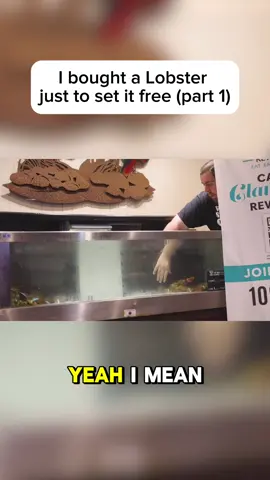 A post by @dannyduncan69 on TikTok caption: Operation free the lobster