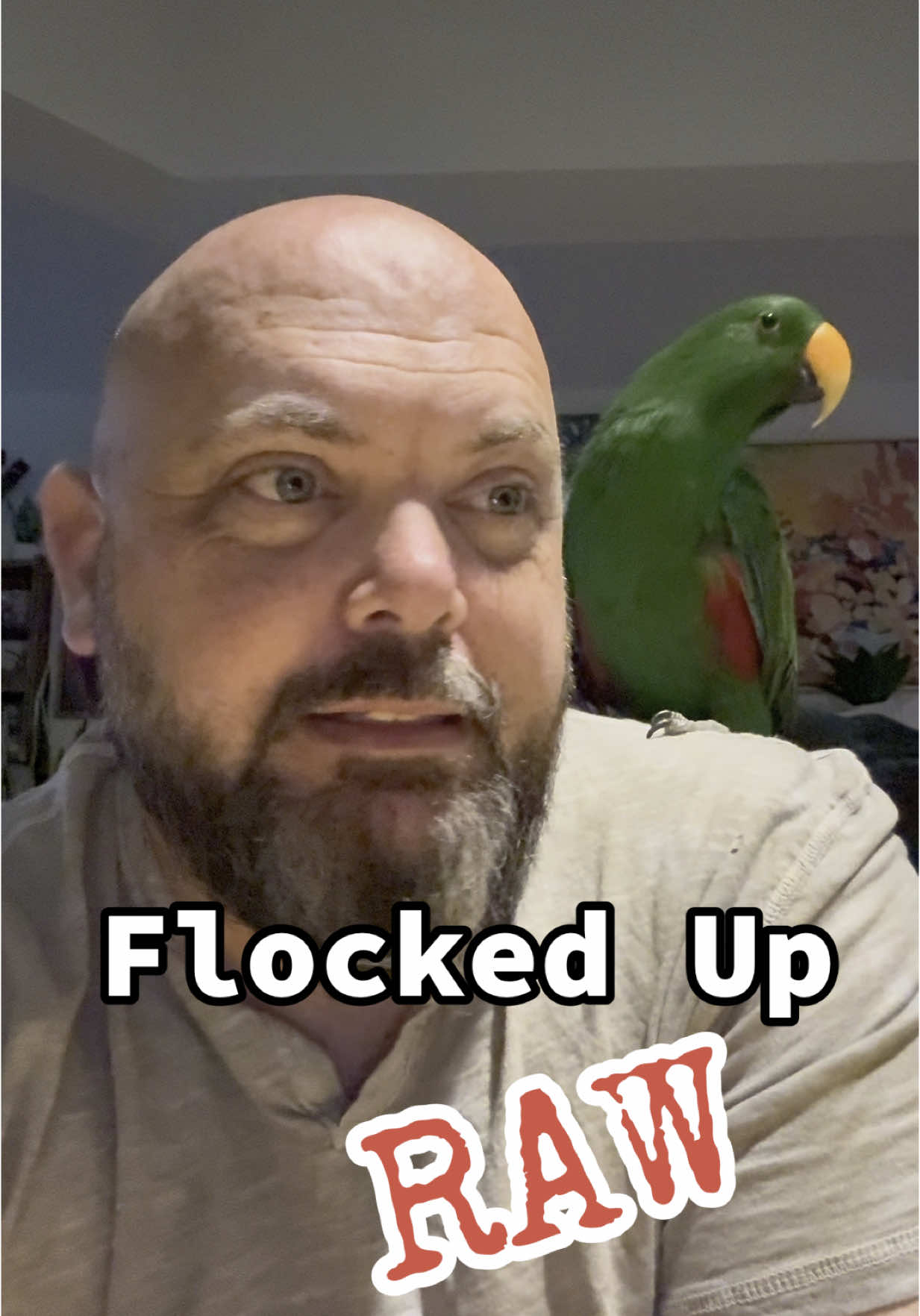 A post by @blueplanetpets on TikTok caption: Replying to @Ruby ♥️ 1 or 2 Cockatiels? #parrot #petbird #pets #cockatiel #aviculture 
