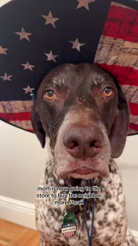 A post by @wyattthegsp on TikTok caption: Family vacation gone wrong🥴 #wyattthegsp #foryoupage #fyp 