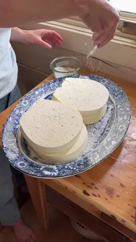 A post by @ballerinafarm on TikTok caption: My sheep’s milk Feta is salted and in whey brine for a few weeks to mature.  