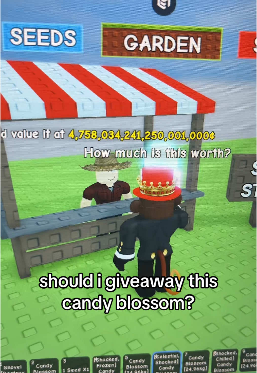 A post by @rblxjandelgag on TikTok caption: its sooo op #jandel #growagarden #gag #fyp #goviral #robloxfyp #update #candyblossom #giveaway 