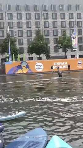 A post by @zarbex on TikTok caption: Schweinswal in Kiel gesichtet 🐳 