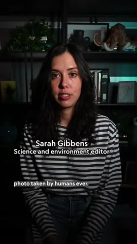 A post by @natgeo on TikTok caption: For centuries, sailors have reported mysterious glowing seas that felt as though they were sailing through molten lead. Scientists now think they're starting to understand the rare phenomenon known as milky seas, but what causes it? Learn more about milky seas and marine bioluminescence at the 🔗 in bio.  Host: @Sarah Gibbens 