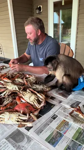 A post by @lifewithgaitlyn on TikTok caption: Crab time! 🦀 #gaitlynrae #food #Recipe #crab #family 