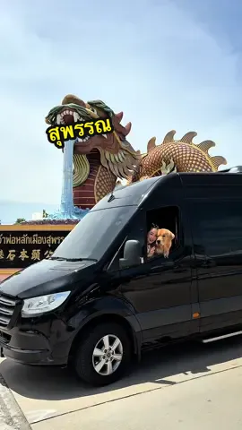 A post by @japanfriends on TikTok caption: เที่ยวสุพรรณบุรี 1 วัน #จุ๊มเหม่งมีอะไร #joommengroadtrip #จุ๊มเหม่งโร๊ดทริป 