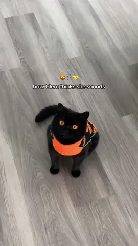 A post by @clementinemeows on TikTok caption: if only she knew…  #catmeow #cutemeow #voidcat 