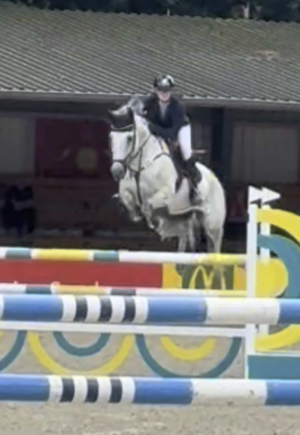 A post by @leonie.pander.official on TikTok caption: Tino flying today🤩clear and placed 5th in todays 1m30❤️First Round from the Junior Championships🫶🏻#fy #fyp 