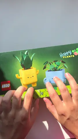 A post by @gabrielahrc on TikTok caption: AAAAAMOOOOO LOS LEGOS. #gabrielahrc #asmr #legos #plantas #happyplants #botanicals 🪴🪴