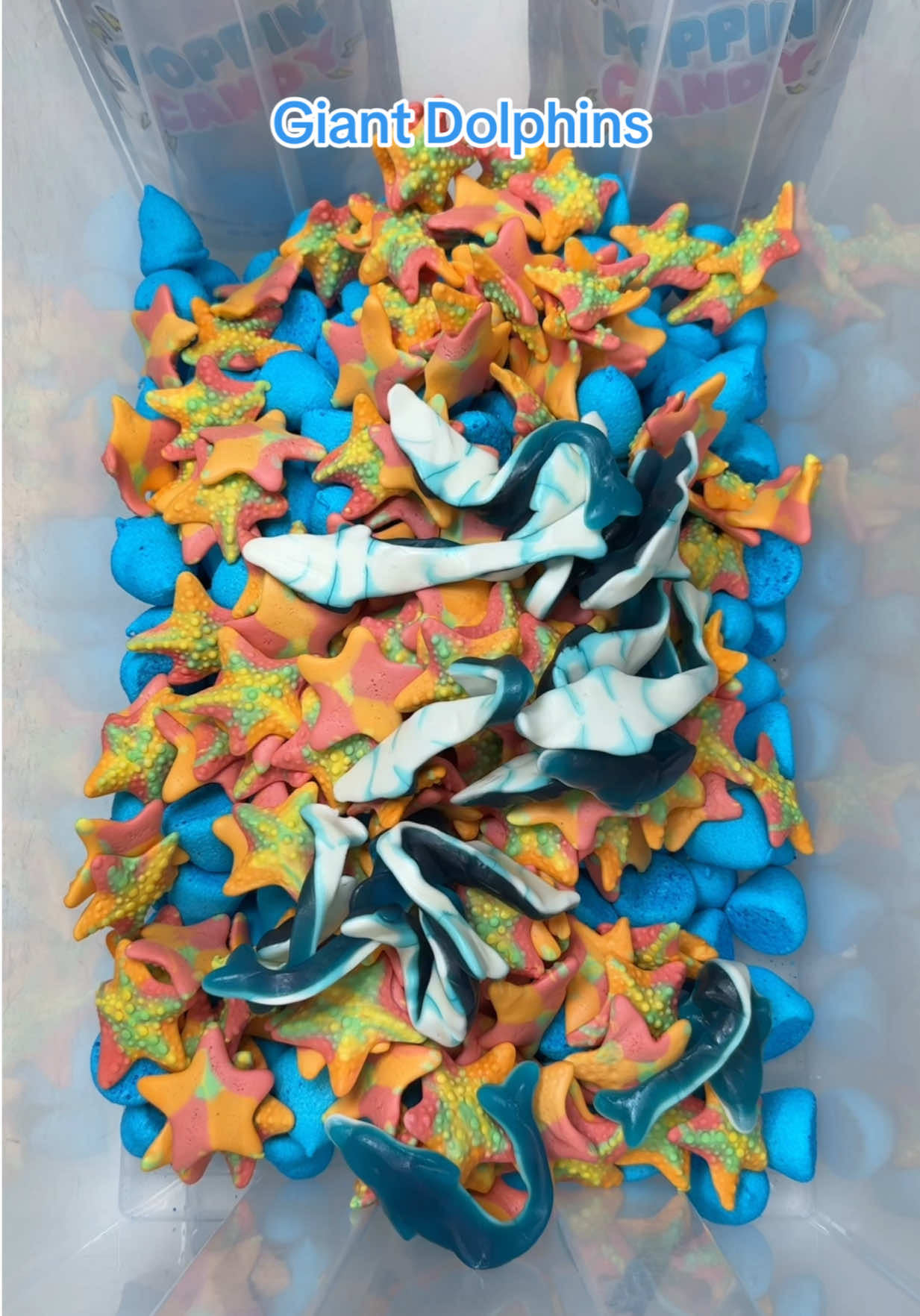 A post by @poppincandyofficial on TikTok caption: Marine Mix🌊🐬 #blue #sea #candy 
