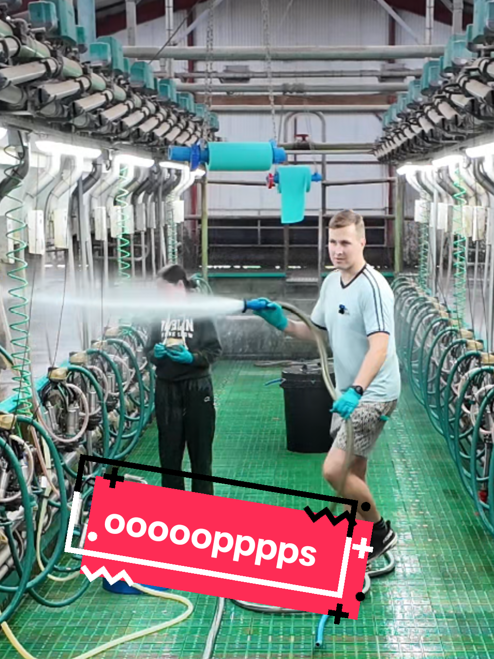 A post by @farmtheoryni on TikTok caption: 2 for 2 and we agree a cease fire. 🔫🤝 @elliemcn19 #farming #farmlife #ceasefire #elliecam 