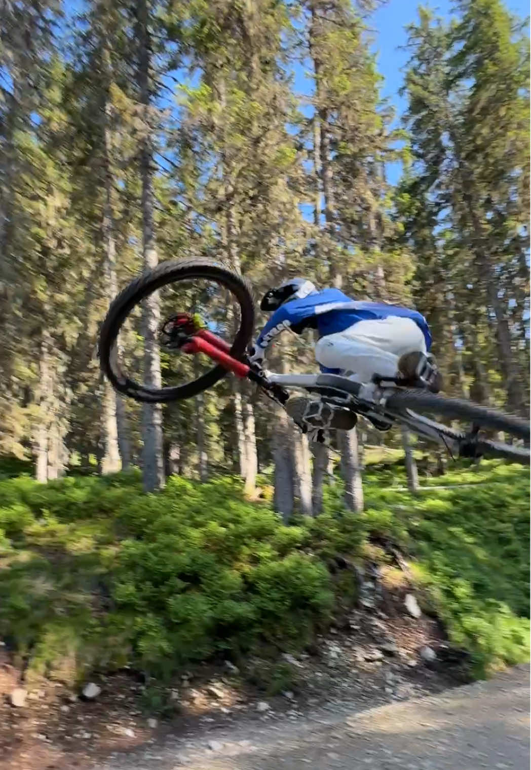 A post by @wibmergabriel on TikTok caption: RAW!🙏😤#fyp #foryou #viral #fürdich #fypシ #fy #bikepark 