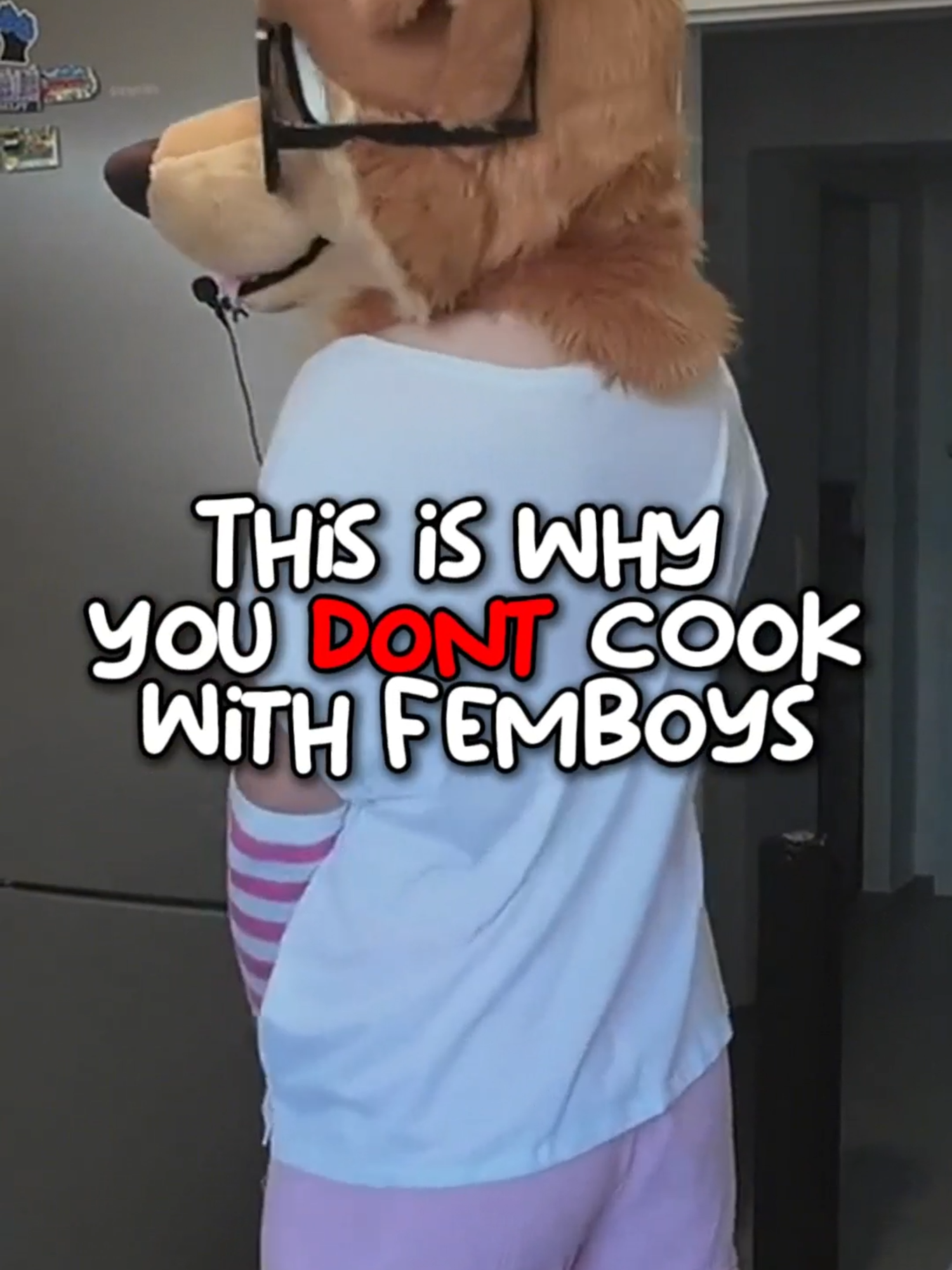 A post by @justafluffymax on TikTok caption: Dont let him cook guys #furry #cute #goodboy