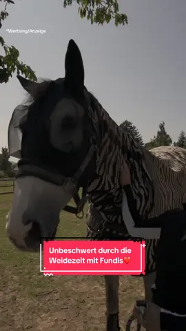 A post by @bellaxhorses on TikTok caption: *Werbung/Anzeige wer kennt das Problem??🪰 ihr könnt alles bei @FUNDIS shoppen und bekommt mit meinem Code „BELLAXFUNDIS“ 10% auf reguläre Ware und 5% auf bereits reduzierte Artikel.  *Bitte die ausgeschlossenen Marken beachten: Kentucky Horsewear, Kentucky Dogwear, Grooming Deluxe, Pikeur, Samshield, Dyon, KASK, Eskadron und Boss Equestrian #bellaxhorses #fundisreitsport #showjumpinghorse #horseslover #pferdeliebe #equestrianlove #weidezeitistschönstezeit #pferdemädchen #horsegirl #equestrianlife #horsesoftiktoktok 