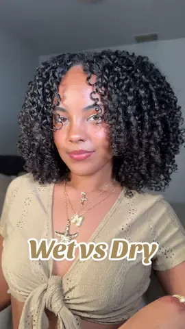 A post by @michixo__ on TikTok caption: wet vs dry 🦁 the volume I got on day 1 though 🫦 #curlygirl #hair #volume #curls #curlyhair #haircare #inspiration 
