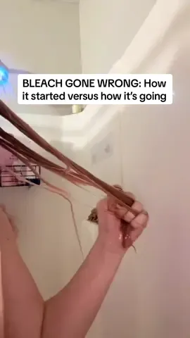 A post by @alfredo_lewis on TikTok caption: HAIR GONE WRONG: How it started versus how it’s going. Steph’s BLEACH FAIL. #bleach #gonewrong #fypシ゚viral #hairtok #hairextensions #beforeandafter 