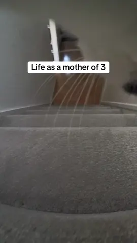 A post by @kittenheavenpov on TikTok caption: Stressful 😅 #catsoftiktok #catspov #catcam #catswithcameras 
