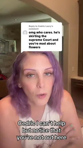 A post by @katnaps5 on TikTok caption: Replying to @Cedric Lasry  we all need a break from trump’s insane big beautiful bill and the Supreme Court and Iran and reproductive cuts and doge slashes and I could go on and on here. 
