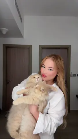 A post by @nada.benkirat on TikTok caption: القطط تاع @renna يهبلواااا ماشاء الله 😭❤️ #nadabenkirat #catslovers #dubai 