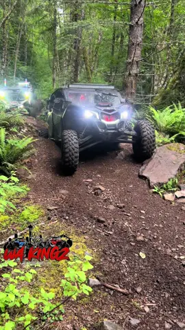 A post by @wa_kingz_offroad on TikTok caption: el penultimo se atoro pero algo bien 👌👌 . . . . . #rutaswashington #wakingz #wakingzoffroad #ruteando #rutas #pnw #offroading #offroad #trending #fyp #canam #canamx3 #polaris #sxs #kawasaki #ruteando #parati #vistas #naturaleza 