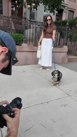A post by @thedogist on TikTok caption: Every day with Celly is a celebration #thisdogwillchangeyourlife #dogs #nyc 